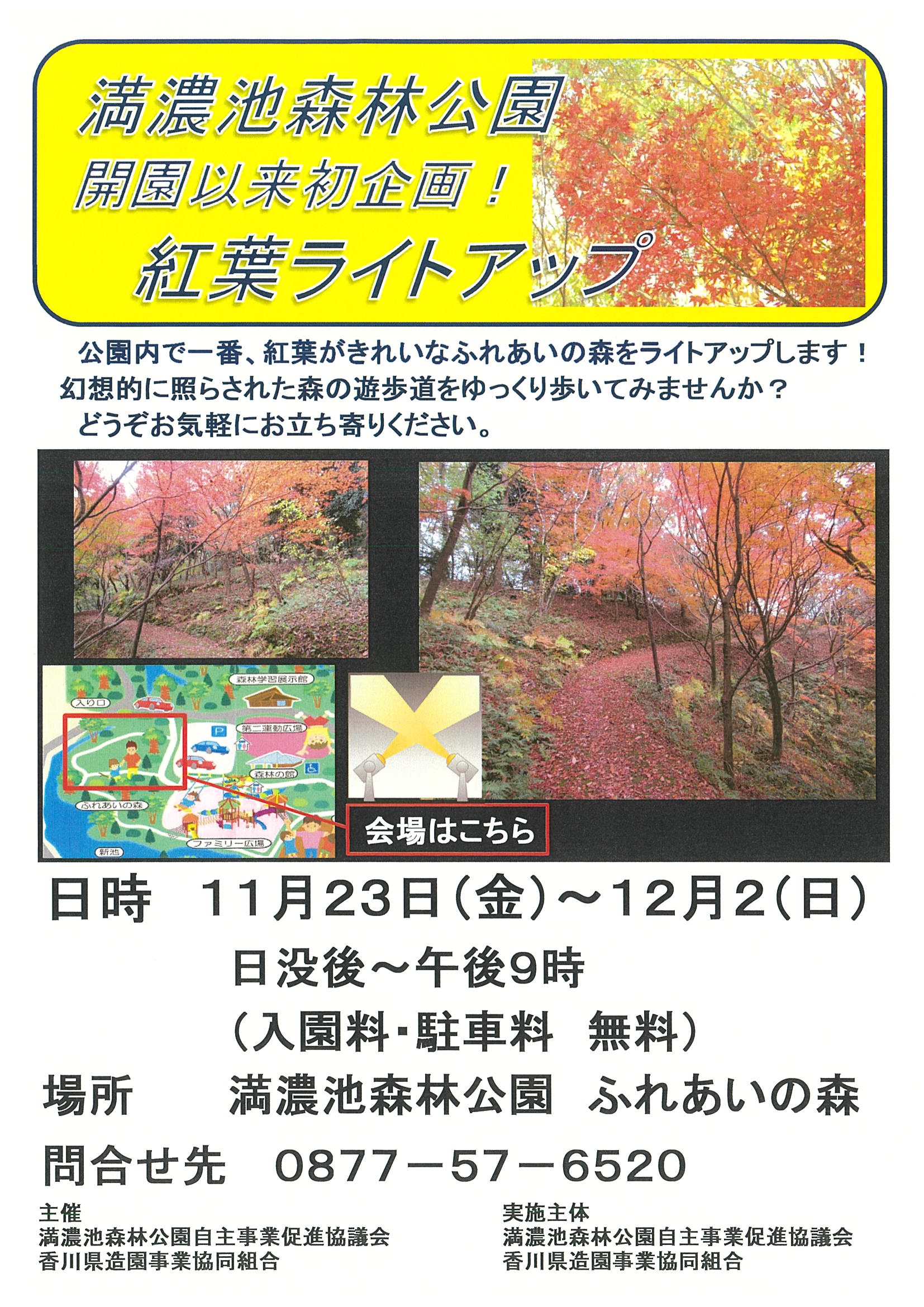 満濃池森林公園紅葉ライトアップ 開催 満濃池森林公園より まんのう元気プロジェクト 香川県まんのう町観光情報 まんのう元気プロジェクト