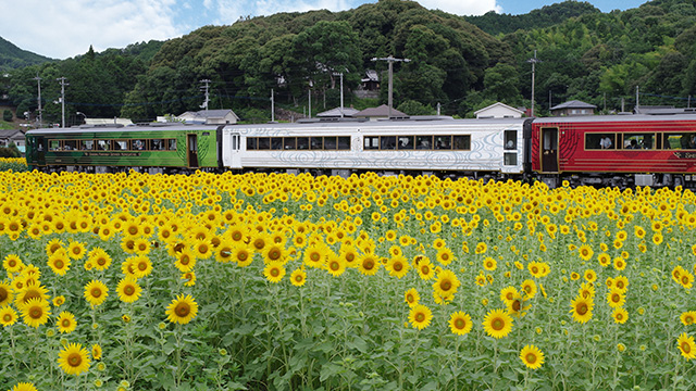 香川県まんのう町観光情報 まんのう元気プロジェクト
